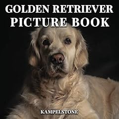Golden retiever picture for sale  Delivered anywhere in USA 