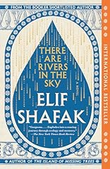 Rivers sky novel for sale  Delivered anywhere in USA 