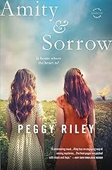 Amity sorrow novel d'occasion  Livré partout en Belgiqu
