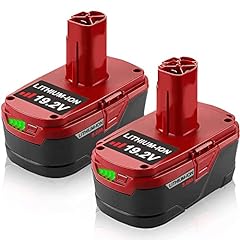2pack 19.2v 5.0ah for sale  Delivered anywhere in USA 