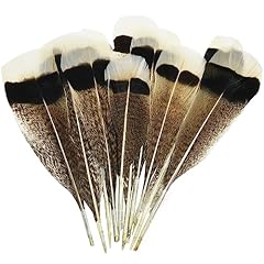 Natural twist turkey for sale  Delivered anywhere in USA 