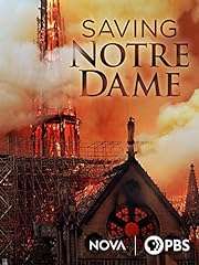 Saving notre dame for sale  Delivered anywhere in USA 