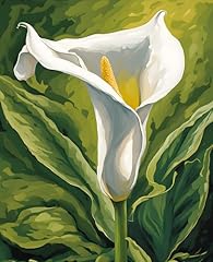 Exotic flowers collection for sale  Delivered anywhere in USA 