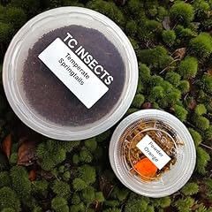 Bioactive combo powder for sale  Delivered anywhere in USA 