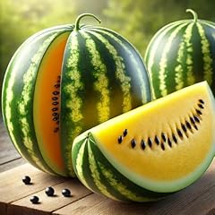 22day seeds seeds for sale  Delivered anywhere in USA 