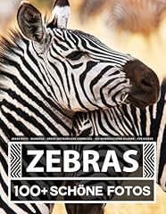 Zebra buch große gebraucht kaufen  Wird an jeden Ort in Deutschland