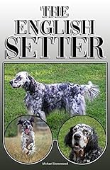 English setter complete for sale  Delivered anywhere in Ireland