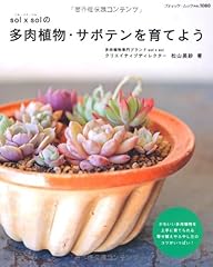 Sol sol の多肉植物 d'occasion  Livré partout en France