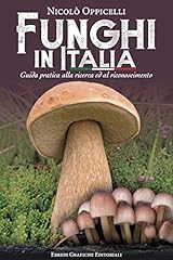 Funghi italia. guida usato  Spedito ovunque in Italia 