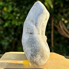 Large ammonite chunk for sale  Delivered anywhere in UK