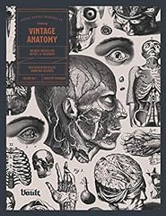 Vintage anatomy image for sale  Delivered anywhere in UK