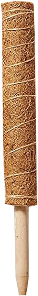 Monnadu Moss Pole Kokos Totem Plant Eenvoudige Installatie Ondersteuning Paal Stapelbaar Duurzame Houten Kokos Moss Totempaal Voor Indoor Klimmen Monstera 30cm tweedehands  