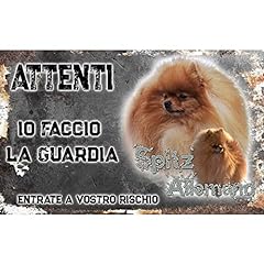 Attenti cane spitz usato  Spedito ovunque in Italia 