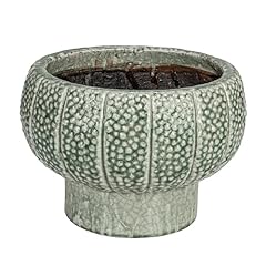 Creative embossed terra for sale  Delivered anywhere in USA 