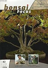 Bonsai focus hotsumi d'occasion  Livré partout en France