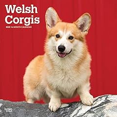 Welsh corgis 2020 d'occasion  Livré partout en France