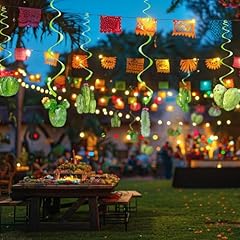 Pack cactus hanging for sale  Delivered anywhere in USA 