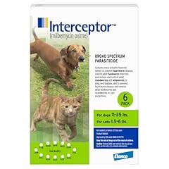 Interceptor dogs cats for sale  Delivered anywhere in USA 