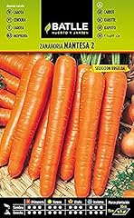 Semillas batlle carottes d'occasion  Livré partout en France