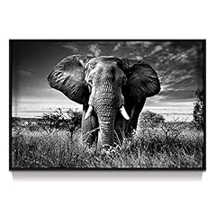 Framed elephant picture for sale  Delivered anywhere in USA 