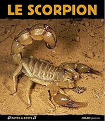 Scorpion d'occasion  Livré partout en Belgiqu