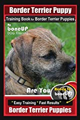 Border terrier puppy for sale  Delivered anywhere in UK