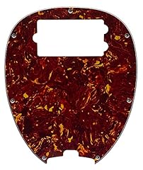 Custom ernie ball for sale  Delivered anywhere in USA 
