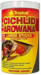 Tropical cichlid arowana usato  Spedito ovunque in Italia 