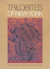 Trilobites new york d'occasion  Livré partout en France