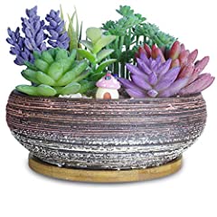 Used, 20.3 CM Large Round Succulent Plant Pots with Drainage for sale  Delivered anywhere in UK