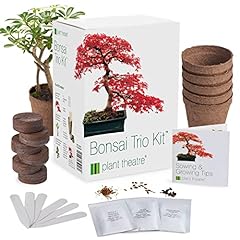 Plant theatre bonsai for sale  Delivered anywhere in USA 