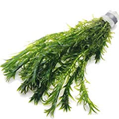 K2aqua elodea densa for sale  Delivered anywhere in UK