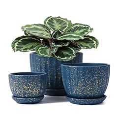 Sthie ceramic plant for sale  Delivered anywhere in USA 
