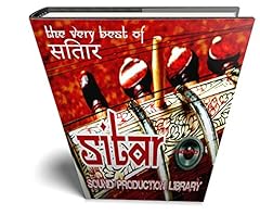 Sitar real large d'occasion  Livré partout en France
