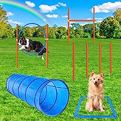 Xben dog agility for sale  Delivered anywhere in UK