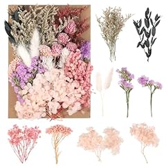 Halinuia séchées fleurs d'occasion  Livré partout en France