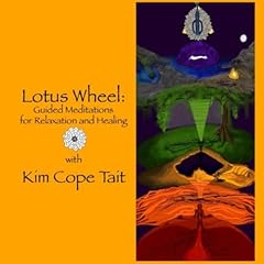 Lotus wheel guided for sale  Delivered anywhere in Ireland