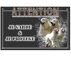 Pets easy.com plaque d'occasion  Livré partout en France