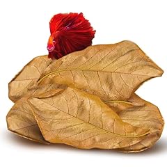Sungrow pack indian for sale  Delivered anywhere in UK