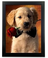Puppy picture golden for sale  Delivered anywhere in USA 