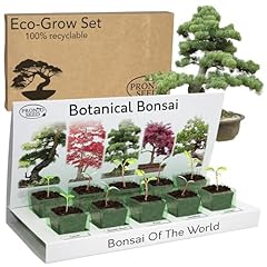 Pronto seed grow for sale  Delivered anywhere in UK