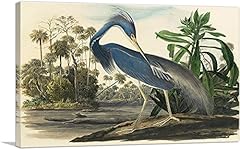 Artcanvas louisiana heron for sale  Delivered anywhere in USA 