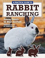 Practical guide rabbit for sale  Delivered anywhere in USA 