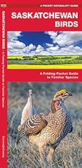 Saskatchewan birds folding for sale  Delivered anywhere in USA 