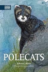 Polecats gebraucht kaufen  Wird an jeden Ort in Deutschland