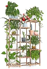 Viewall indoor plant for sale  Delivered anywhere in UK