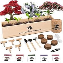 Sproutix indoor bonsai for sale  Delivered anywhere in USA 