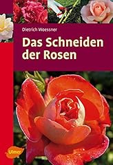 Schneiden rosen gebraucht kaufen  Wird an jeden Ort in Deutschland