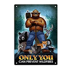Ermuhey smokey bear for sale  Delivered anywhere in USA 