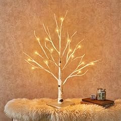 2ft white birch for sale  Delivered anywhere in UK